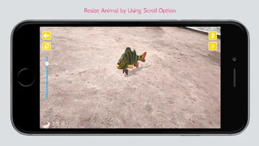 Animal in Ar screenshot 9