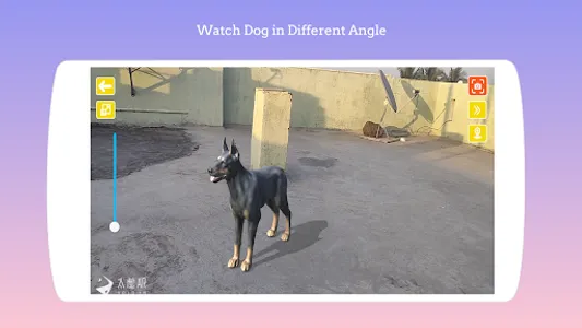 Dog play Ar screenshot 4