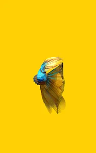 Betta Fish 3D Pro screenshot 11