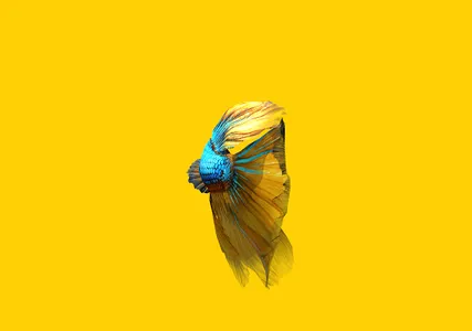 Betta Fish 3D Pro screenshot 17