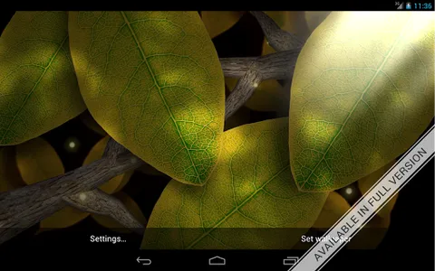 Tap Leaves Free Live Wallpaper screenshot 11