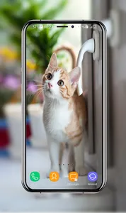 Kitten Wallpapers screenshot 11