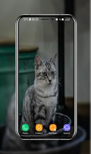 Kitten Wallpapers screenshot 12