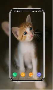 Kitten Wallpapers screenshot 13