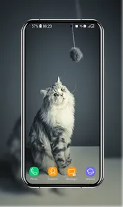 Kitten Wallpapers screenshot 4