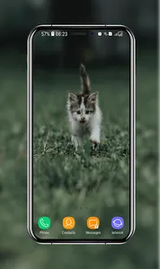 Kitten Wallpapers screenshot 7