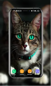 Kitten Wallpapers screenshot 8