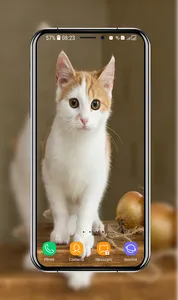 Kitten Wallpapers screenshot 9