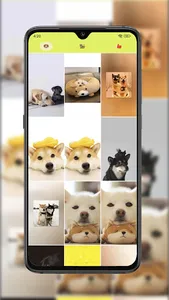 Kitty & Pup Paradise screenshot 0