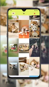 Kitty & Pup Paradise screenshot 1