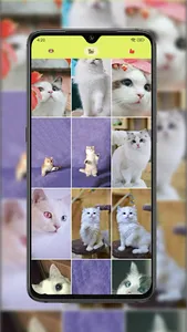 Kitty & Pup Paradise screenshot 2