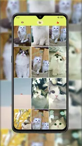 Kitty & Pup Paradise screenshot 3