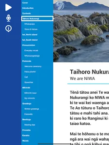 Taihoro Nukurangi screenshot 9