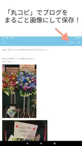 ひなたハウス／日向坂46のブログ・ニュースを通知、まとめ閲覧 screenshot 9