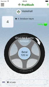 Prowash screenshot 0
