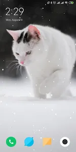 Cat Live Wallpaper screenshot 2