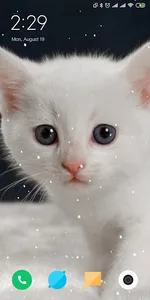 Cat Live Wallpaper screenshot 8