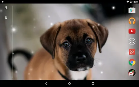 Puppies Live Wallpaper screenshot 10