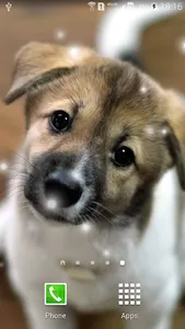 Puppies Live Wallpaper screenshot 6