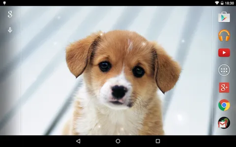 Puppies Live Wallpaper screenshot 7