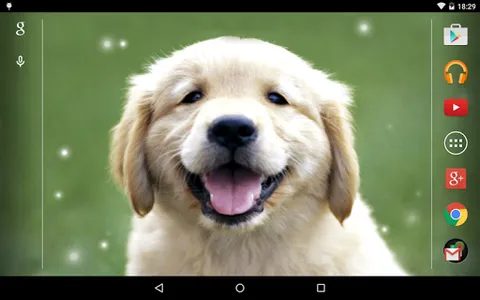 Puppies Live Wallpaper screenshot 8