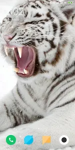 Tiger Live Wallpaper screenshot 1