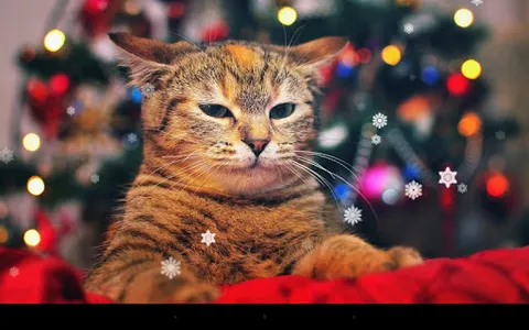 Xmas Cat Live Wallpaper screenshot 6