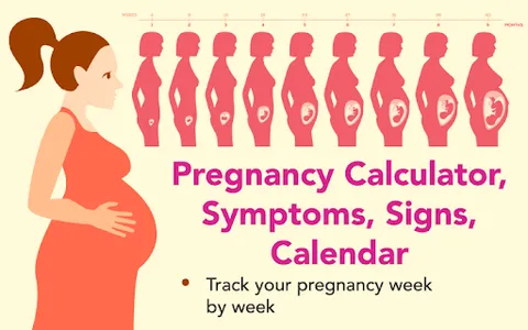 Pregnancy calculator, symptoms screenshot 0