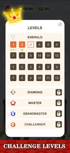 Klotski - Sliding block puzzle screenshot 3