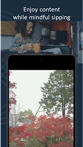 SanZen screenshot 4