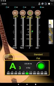Bouzouki Tuner - Buzuki Buzuci screenshot 11