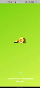 Avocado Detection screenshot 0