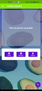 Avocado Detection screenshot 1