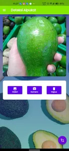 Avocado Detection screenshot 2
