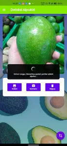 Avocado Detection screenshot 3