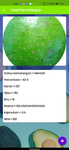 Avocado Detection screenshot 7