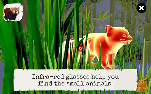 Wild Animals VR Kid Game screenshot 21