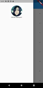 Koenig_test_app screenshot 2