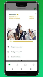 Bränteverest screenshot 5