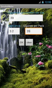 Smoke Meter screenshot 5