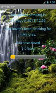 Smoke Meter screenshot 6