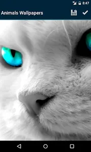 Animals Wallpapers screenshot 1