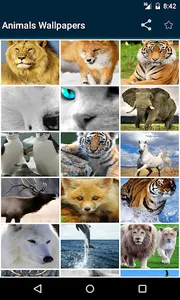 Animals Wallpapers screenshot 7