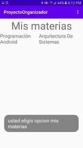 Organizador screenshot 5