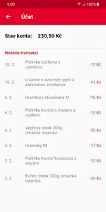 KaM VUT screenshot 3