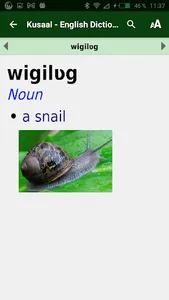 Kusaal - English Dictionary screenshot 3