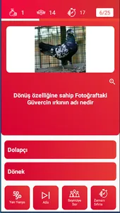 Kuşbaz Bilgi Yarışması screenshot 6