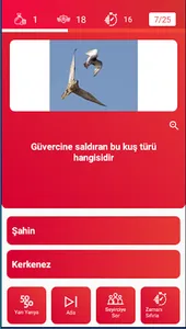 Kuşbaz Bilgi Yarışması screenshot 7