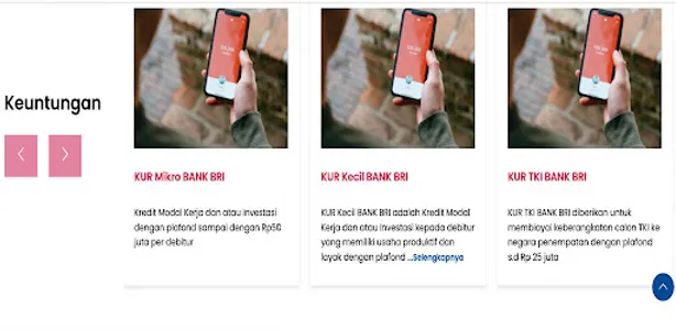 Pengajuan Bri Kur Online Hint screenshot 1