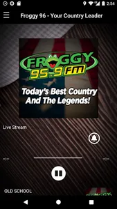 Froggy 96 Online screenshot 0